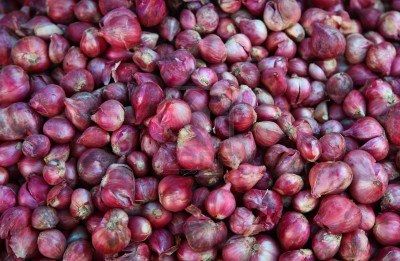 fresh red onion