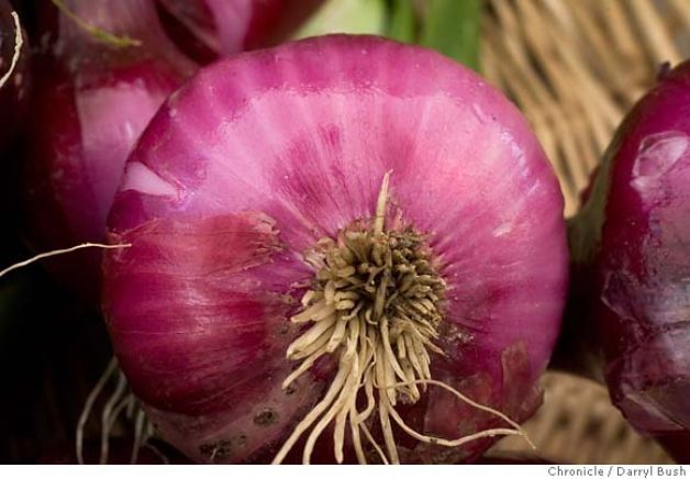 fresh red onion