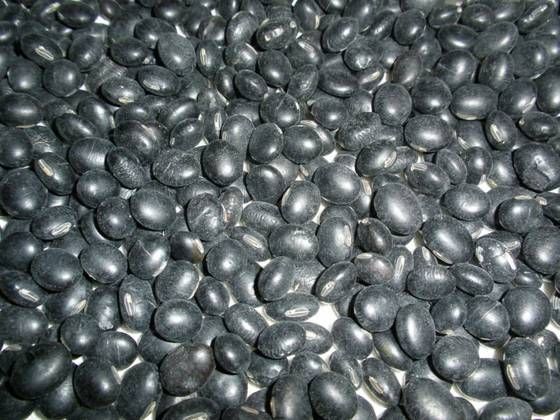Black Soybeans
