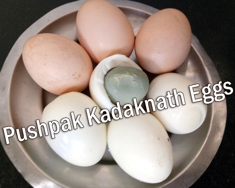 Kadaknath Poultry Eggs