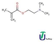 Dimethylaminoethyl Methacrylate