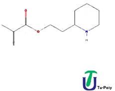 Piperidinoethyl Methacrylate