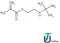 Tert Butylaminoethyl Methacrylate