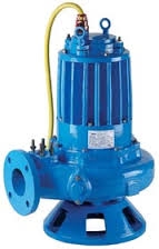 Sewage Pump