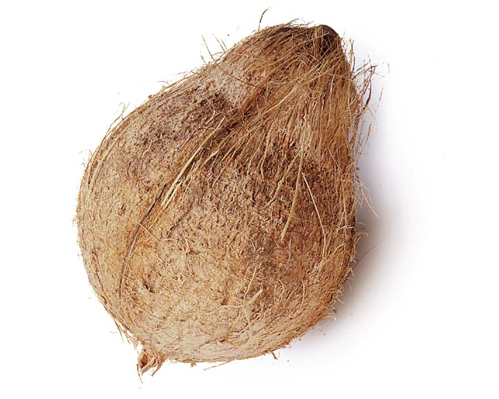 Fresh Coconut, Dry Coconut