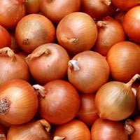 Fresh red onion