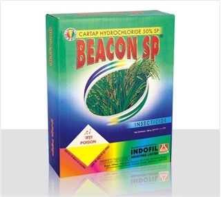 BEACON SP spray