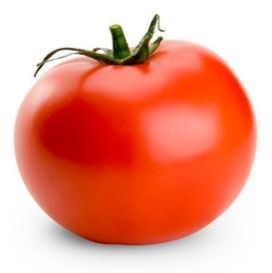 fresh tomato