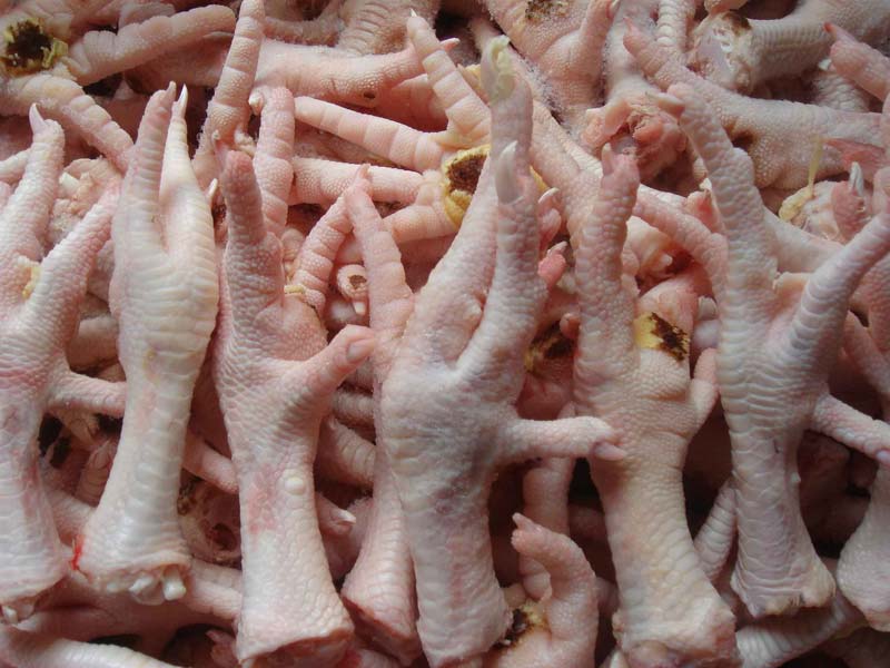 Halal Frozen Chicken Feet