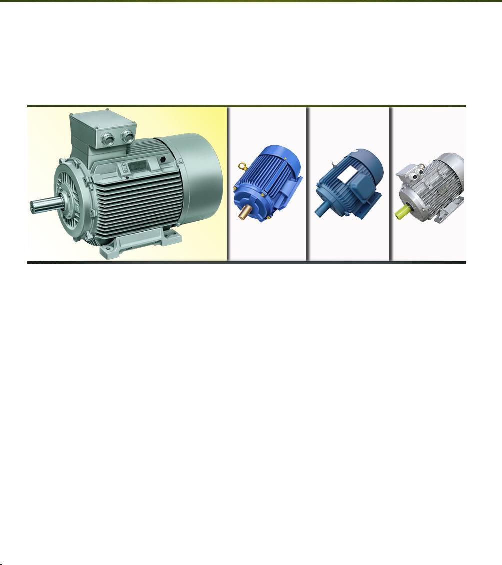 Ac Induction Motor