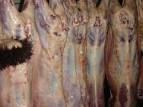 frozen mutton