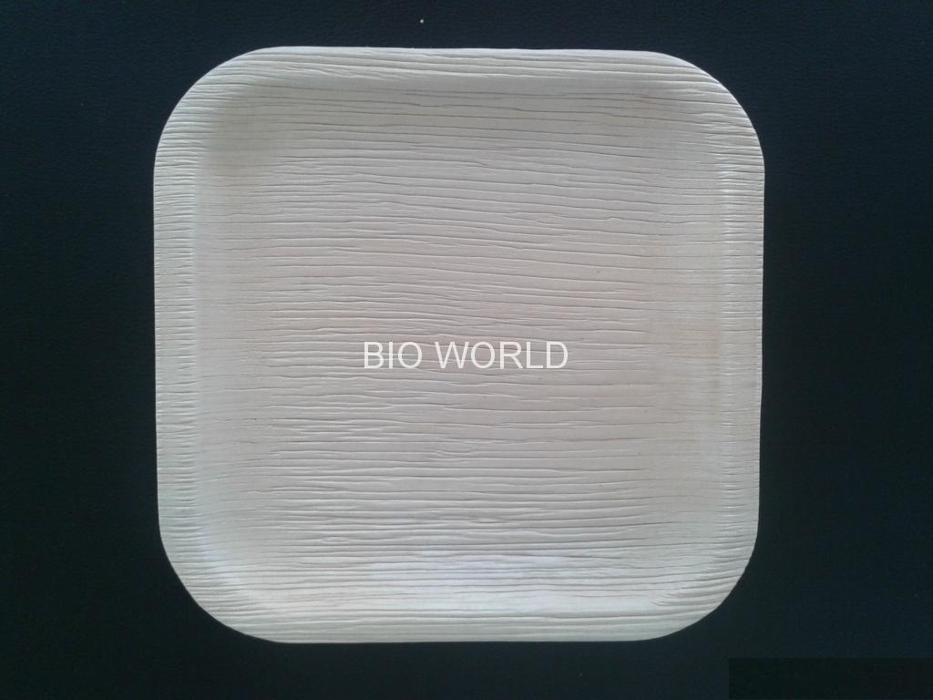 Biodegradable Areca Plates