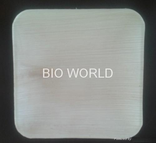 Biodegradable Leaf Plates