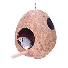 coconut bird houses