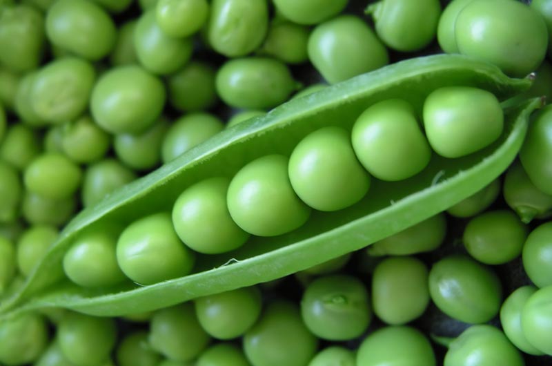 Fresh Peas