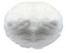 Boldenone (Steroids)