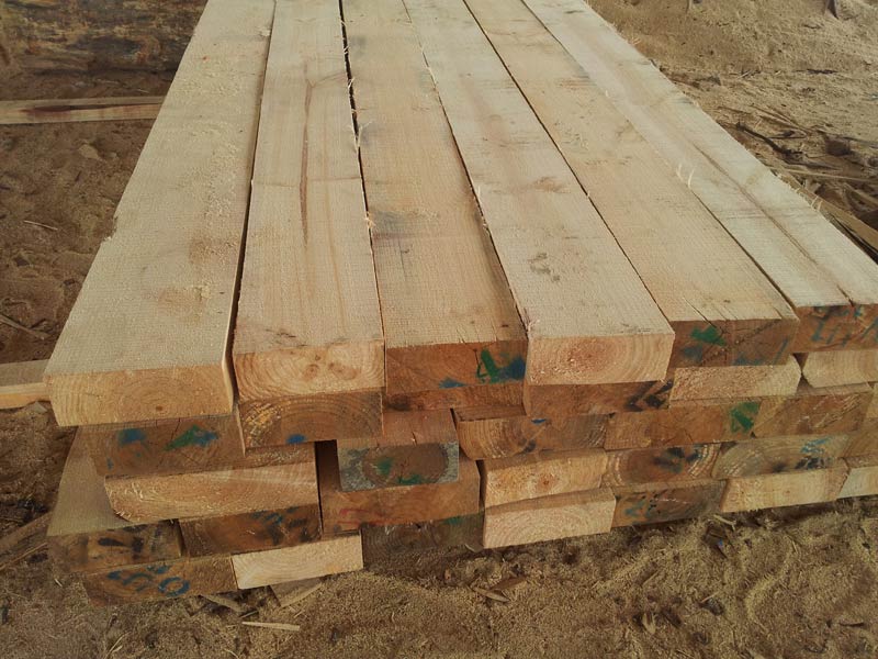 Pine Wood Lumbers