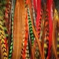 Grizzly Rooster Feathers