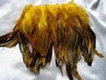 Grizzly Rooster Feathers