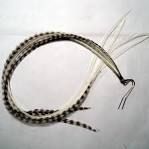 Rainbow Mix Grizzly Rooster Feathers