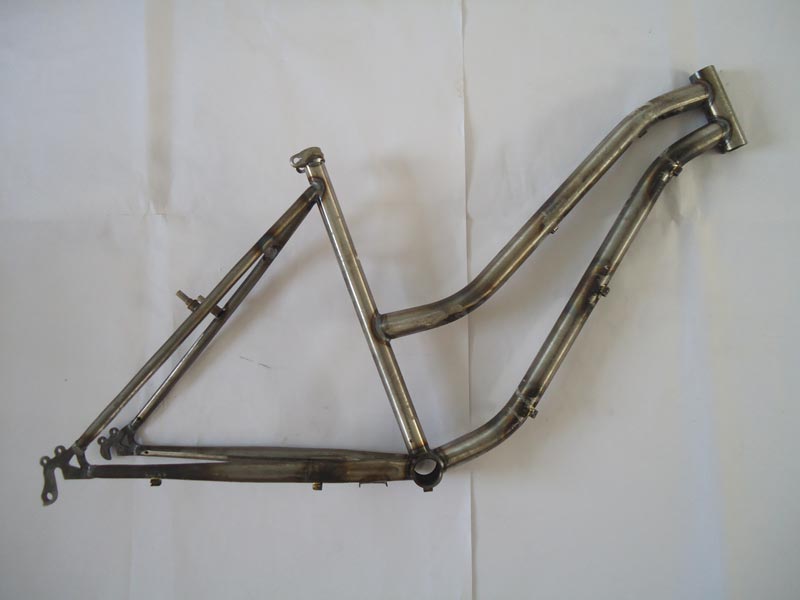 Mountain Bike Frame