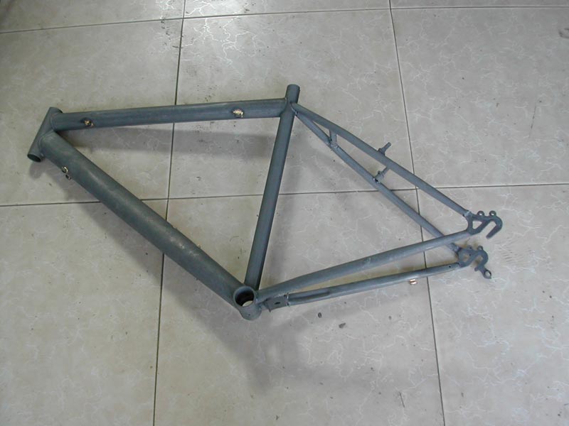 Mountain Bike Frame