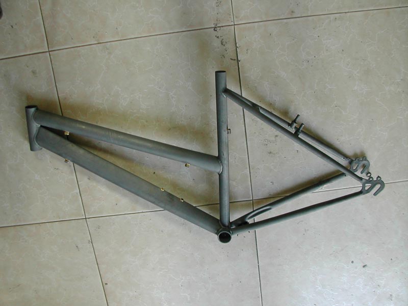 Mountain Bike Frame