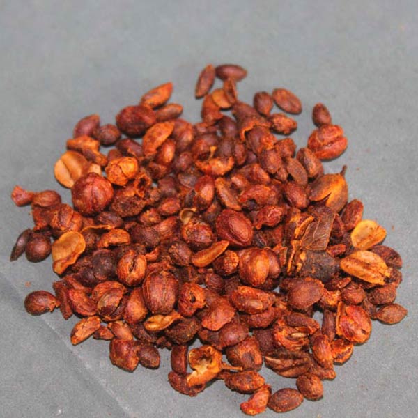 Malkangni Seeds