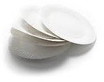 Disposable Paper Plates