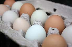 Farm Fresh White Eggs, Farm Fresh Brown Eggs, Chicken Eggs