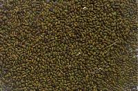 sesbania seed