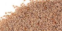 Psyllium Seed Husk