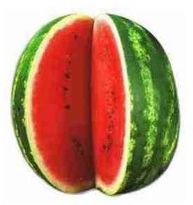 fresh watermelon