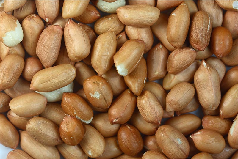 groundnut kernels