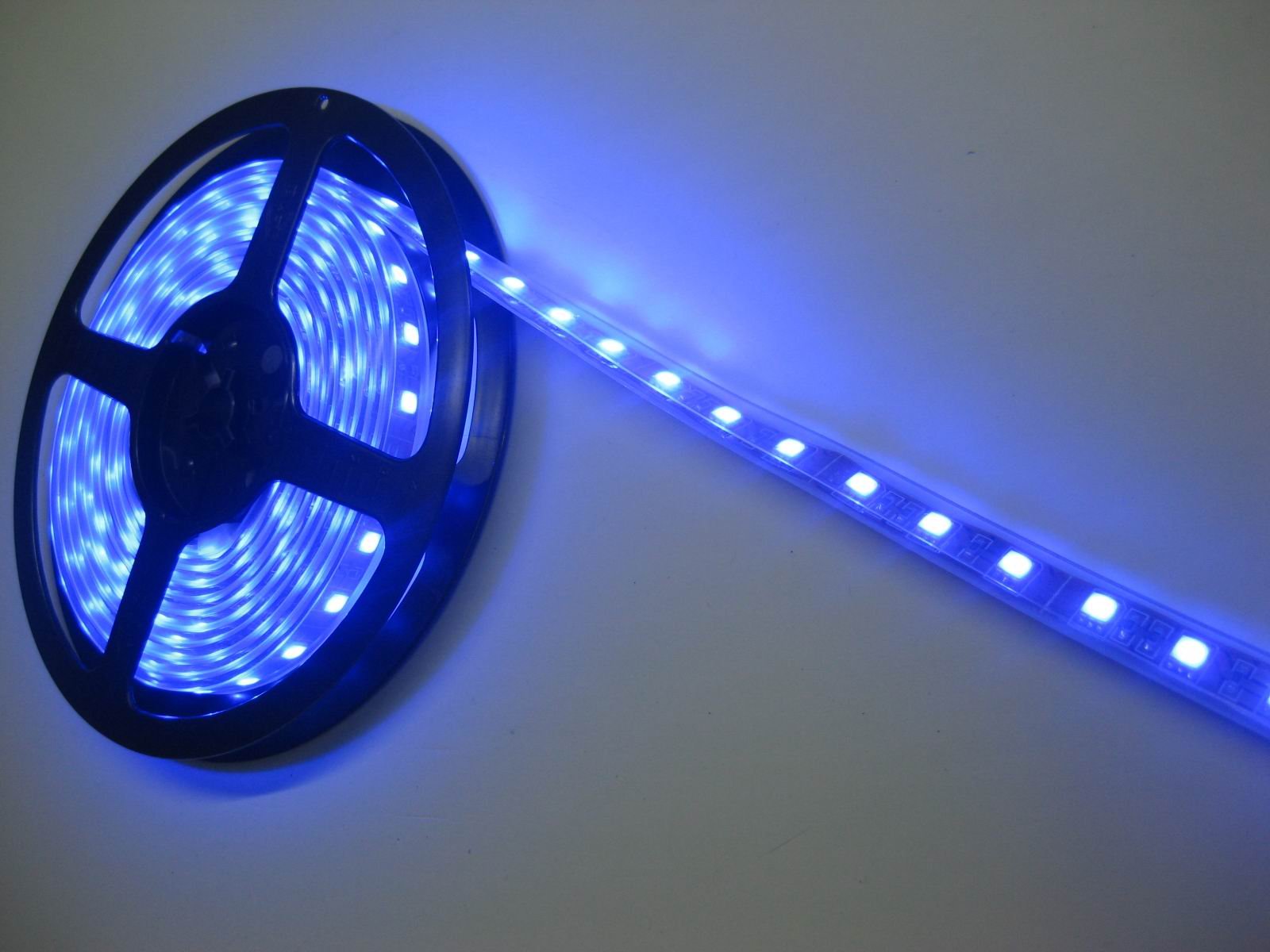 Led Strips 5050 Blue Reolite at Best Price in Mumbai