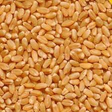 Wheat Milling