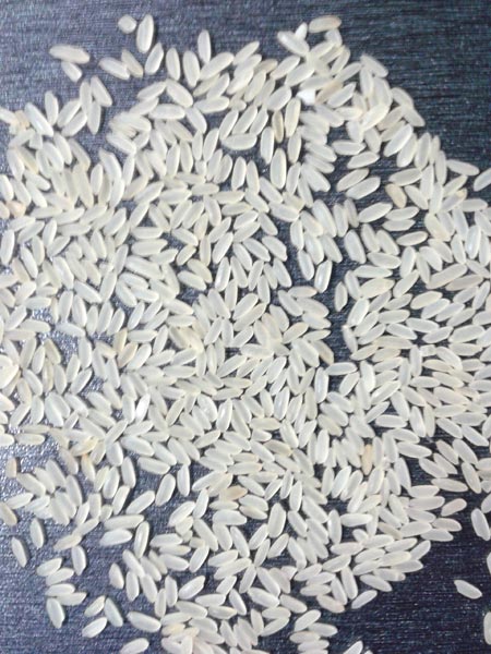 GR 11 Ponni Parboiled Rice