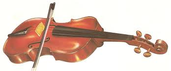 String musical instrument