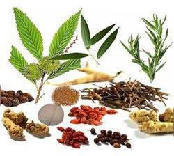 herbal extracts