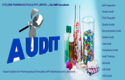 Pharmaceutical Auditing Services