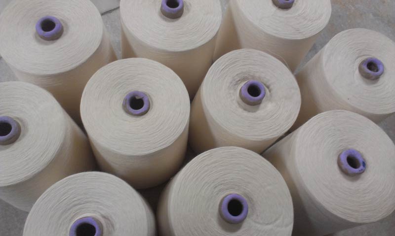 Polyester Fancy Yarn