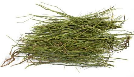 Andrographis Paniculata, Packaging Type : Jute Bags, Plastic Bags