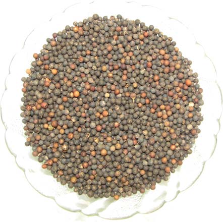 Embelia Ribes Seeds, Grade : Pharmaceutical Grade