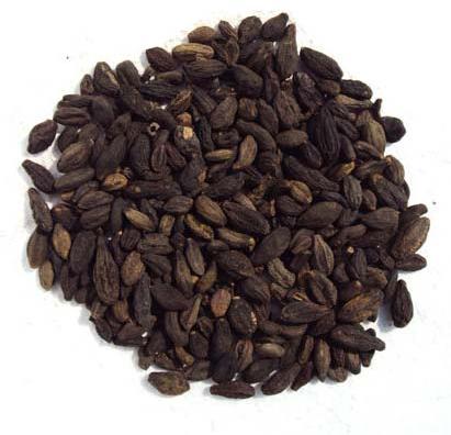 Terminalia Chebula Seeds, for Medicinal Purposes, Purity : 100%