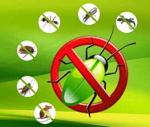 mosquito control services