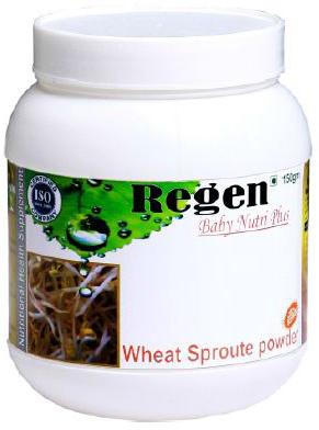 Wheat Sprout Powder