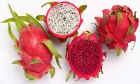 Dragon Fruits