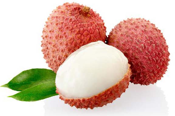 Organic Fresh Lychee, for Chips, Food, Juice, Medicine, Snack, Style : Canned
