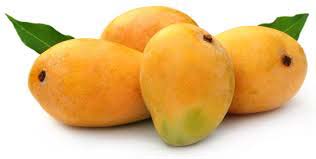 Organic fresh mango, Variety : Dried