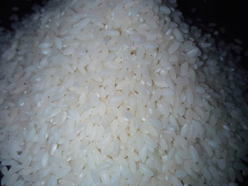 Non Basmati Raw Rice